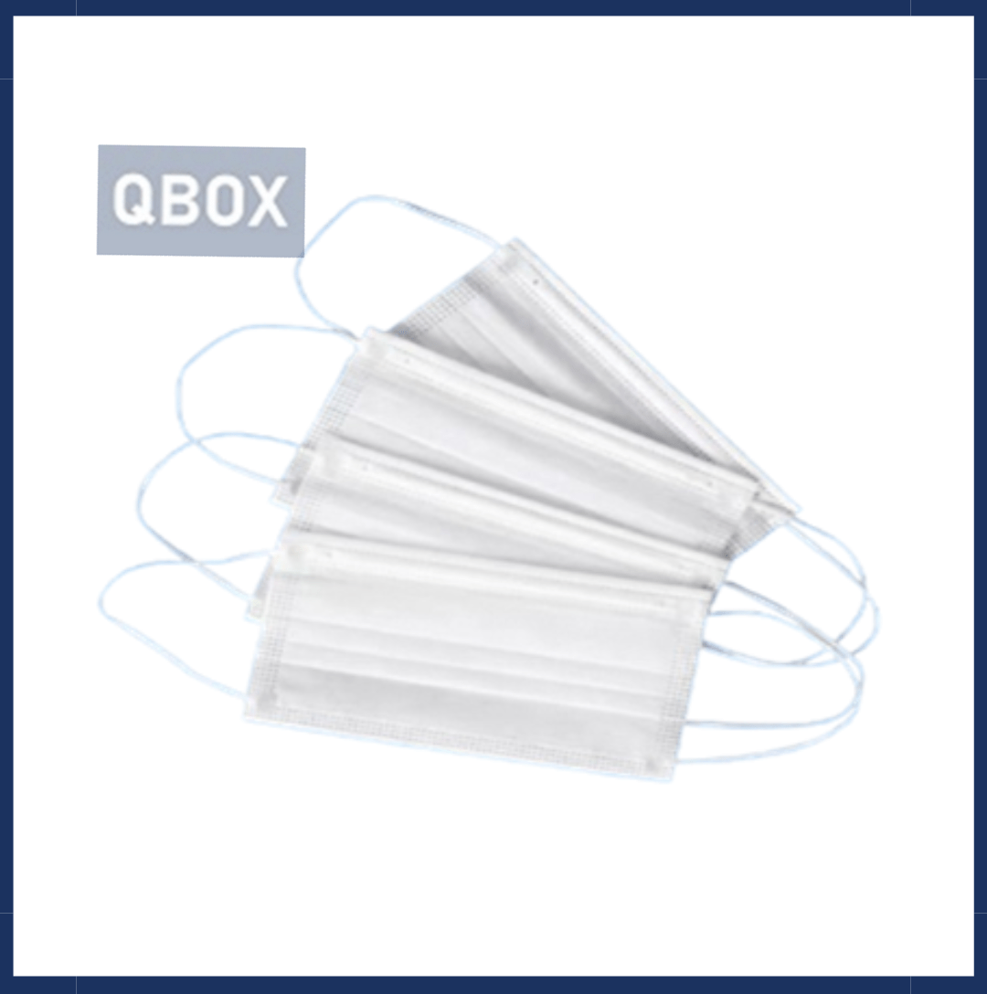 Cleanroom ES Facemask